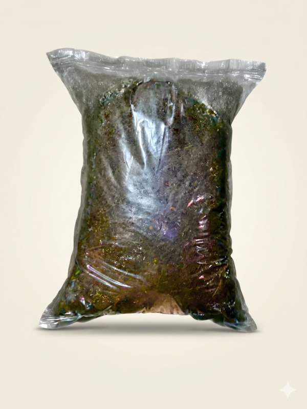 1KG Proganik Media Tanam Cocopeat